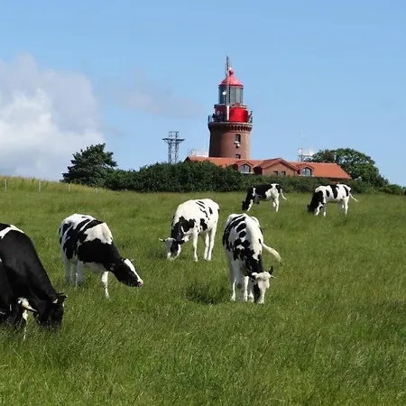 Bauernhof Kleinis Bei Ostseebad Kühlungsborn